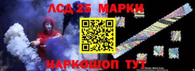 прущие грибы Абакан