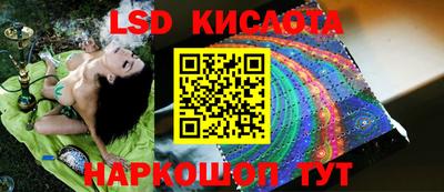 прущие крисы Абинск