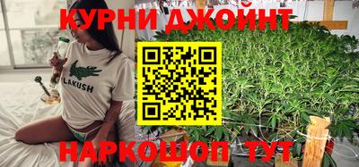 прущие грибы Абакан