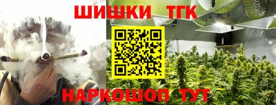 прущие грибы Абакан