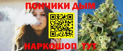 прущие грибы Абакан
