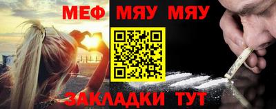 прущие грибы Абакан