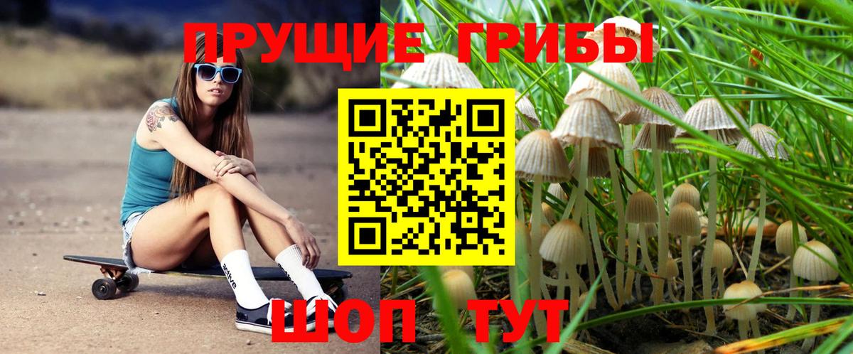 ГАШИШ  АМФ кристаллы  Вход с VPN  Алатырь  A PVP СК   Меф МЯУ МЯУ кристаллы  Мефедрон  Каннабис  COCAIN 