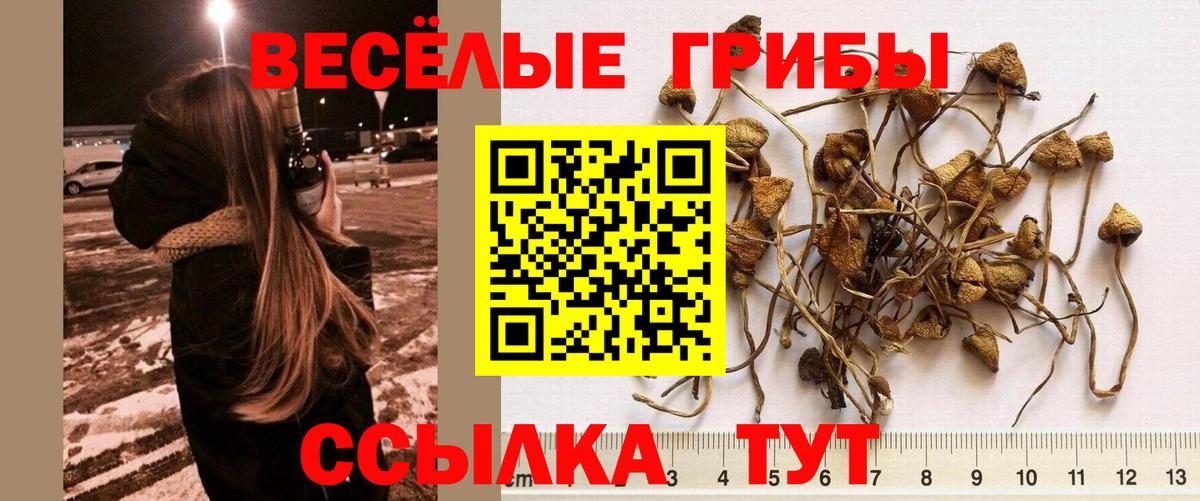 Псилоцибиновые грибы Magic Shrooms Алатырь